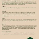 Luksustelt Tiny Glamp - Kontejner Sikmina Dolní Moravice