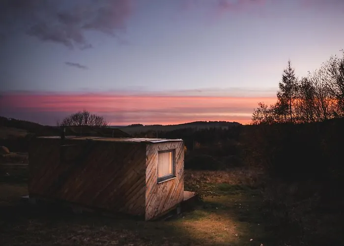 Tiny Glamp - Kontejner Sikmina *